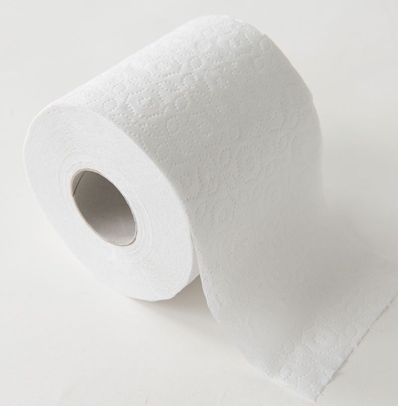 2-Ply Toilet Tissue Paper 4.1" x 3.5" 500 Sheets Per Roll 96 Rolls/Case